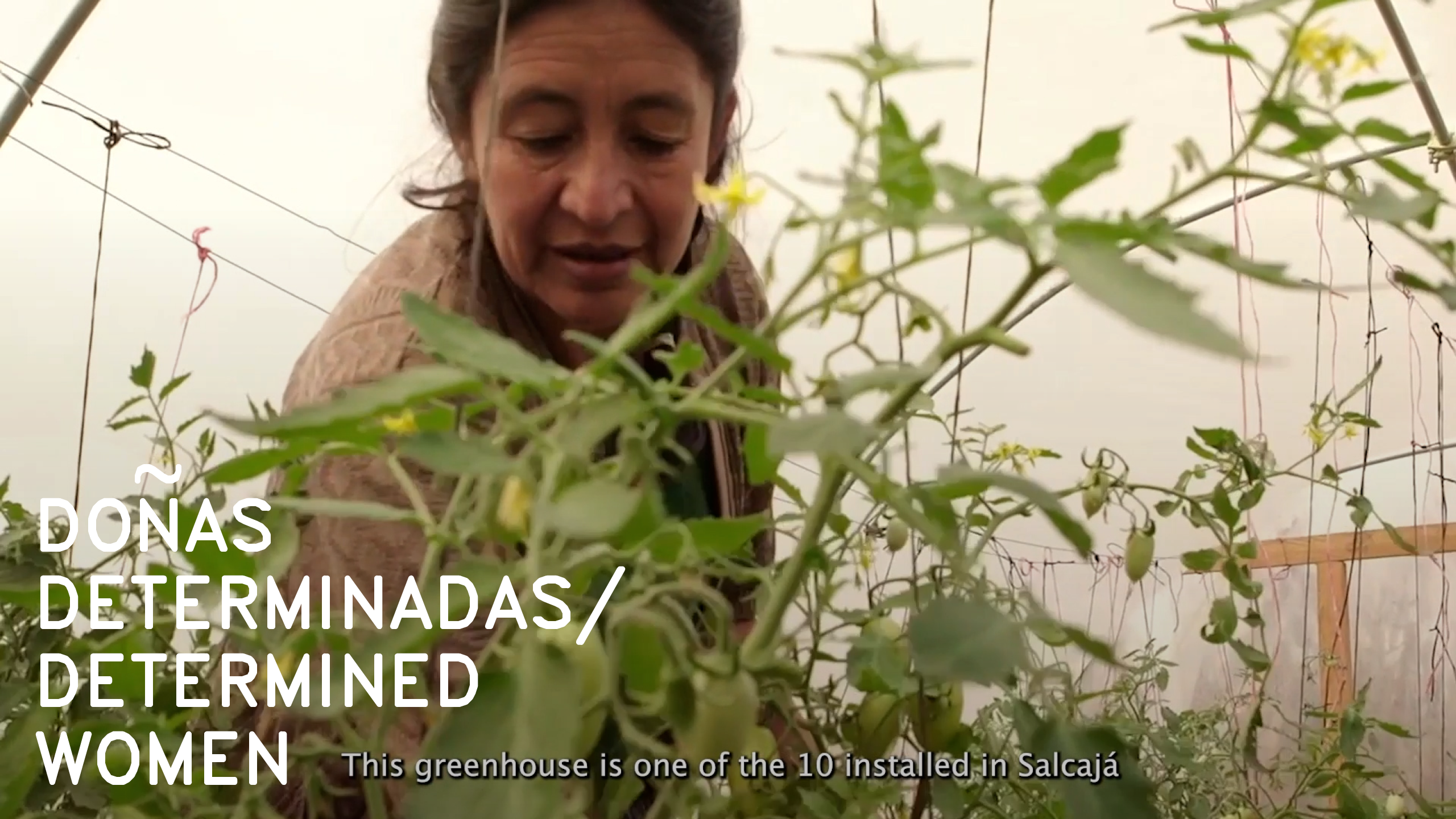 DOÑAS DETERMINADAS / DETERMINED WOMEN